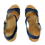 Tommy Hilfiger Blue Wilo Wedge Platform Heels Size 9.5