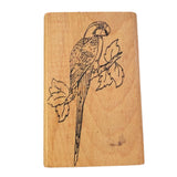 embossing-arts-vintage-1987-wild-bird-parrot-rubber-stamp-front